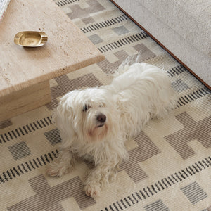 The Inside Scoop About Our Kid-Friendly, Pet-Ready Washable Rugs