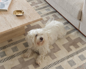 The Inside Scoop About Our Kid-Friendly, Pet-Ready Washable Rugs