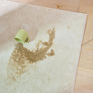 How to spot clean area rugs & more