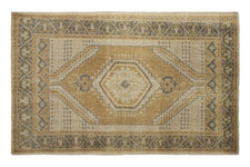 Oriental Rug Arinel