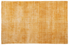 Vintage Distressed Rug Selyna