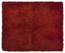 Willrich CARG
