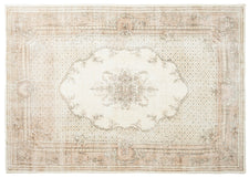Vintage Distressed Rug Mineko