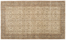 Vintage Distressed Rug Brialey