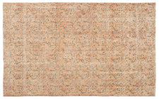 Vintage Distressed Rug Liu