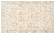 Vintage Distressed Rug Gees