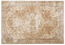 Vintage Distressed Rug Serina
